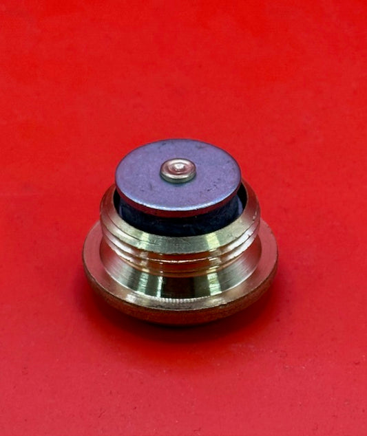 Genuine Ferrari Drain Plug 183962