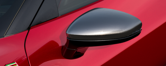 Genuine 296 Carbon Mirror Shell Kit