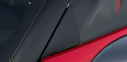 Genuine 296 Carbon Door Triangle Kit